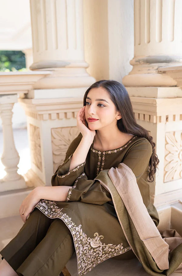 3 Piece - Unstitched Embroided Dhanak Fabric