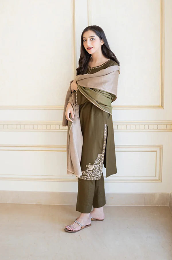 3 Piece - Unstitched Embroided Dhanak Fabric